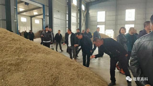 烏蘭察布市飼草產業生產新模式示范推廣現場觀摩會在豐鎮隆重召開