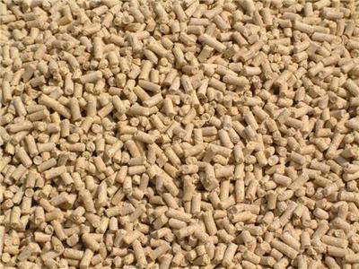 青州市六豐牧業官方-問一問!【乳豬濃縮飼料生產廠家】哪家靠譜?-六豐、反芻動物營養、肉牛羊飼料、肉牛養殖、肉羊養殖、反芻飼料、