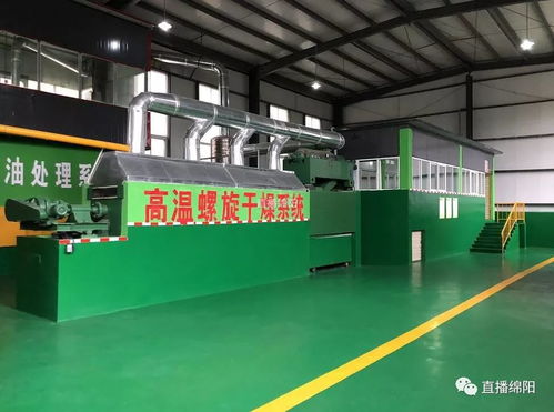 餐廚垃圾變廢為寶 與地溝油告別，邁向可持續飼料新篇章